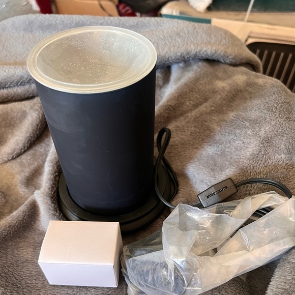 Pink Zebra Accents New Pink Zebra Simmering Lights Base With Bulb